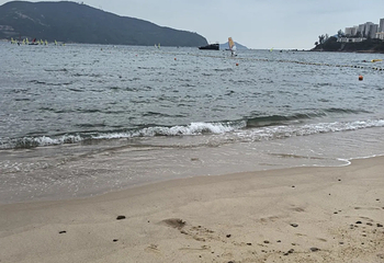 浅水湾第 80 张图片