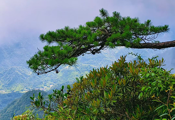 三清山风景区第 192 张图片