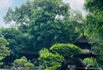 杜甫草堂第 293 张图片