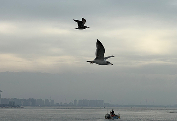 那香海鸡鸣岛第 56 张图片