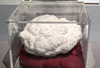 成都自然博物馆第 67 张图片