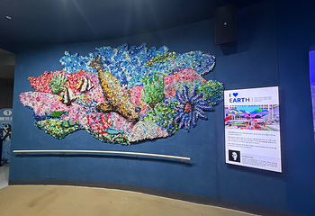 济州岛Aqua Planet水族馆第 27 张图片