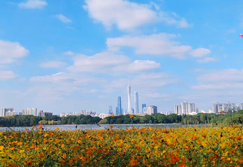 海珠湖公园第 31 张图片