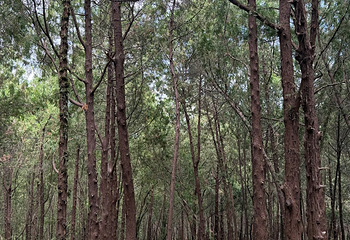 青州云门山风景区第 27 张图片