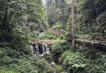青城山第 375 张图片