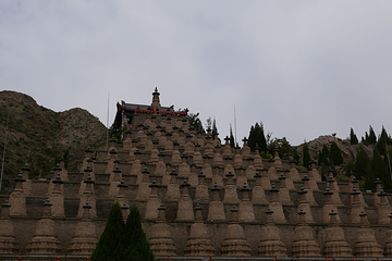 青铜峡黄河大峡谷旅游区第 116 张图片