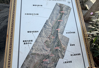 葡萄沟第 102 张图片