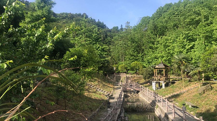 灵芝谷第 1 张图片