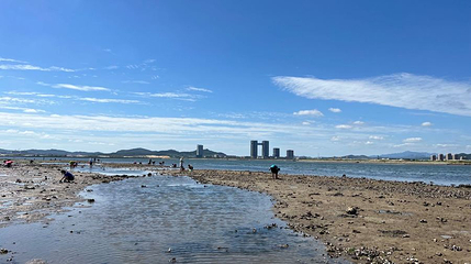 双岛西山赶海第 1 张图片