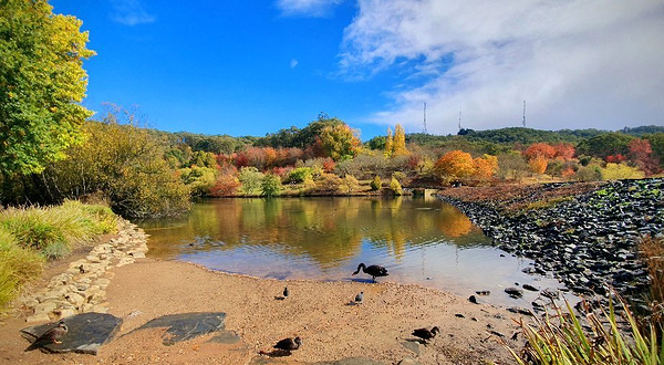 洛夫蒂山植物园