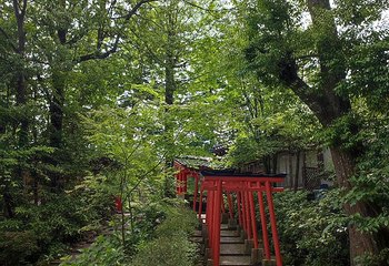 金澤神社第 12 张图片