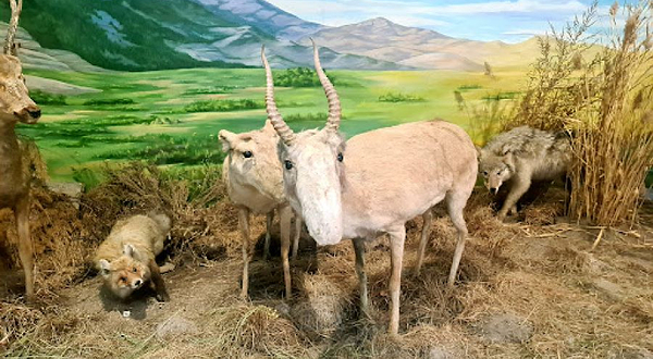 Karaganda Local History Museum