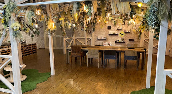 奈良生物博物馆