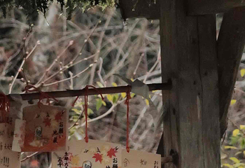 伏见稻荷大社第 193 张图片