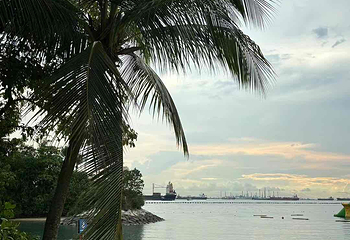 圣淘沙岛第 70 张图片