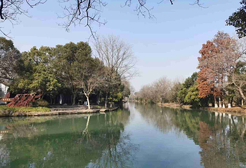 西溪国家湿地公园第 225 张图片