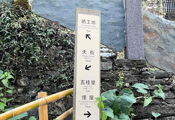 婺源篁岭景区第 373 张图片