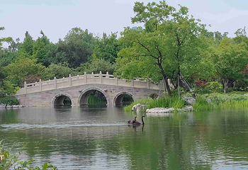 世博文化公园第 83 张图片