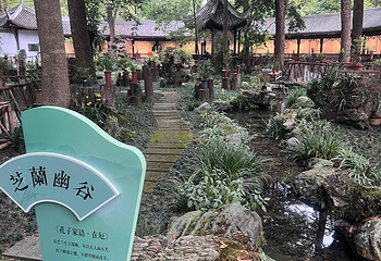 杜甫草堂第 355 张图片