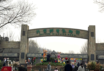 北京野生动物园第 291 张图片