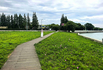 淀山湖风景区第 13 张图片