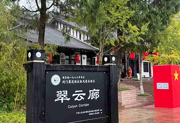 翠云廊第 13 张图片