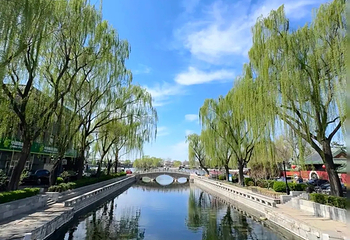 什刹海风景区第 193 张图片