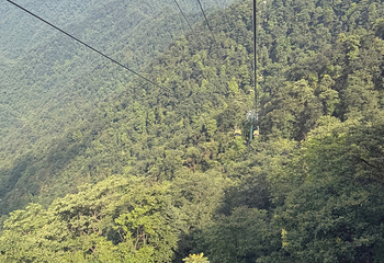 梵净山第 290 张图片