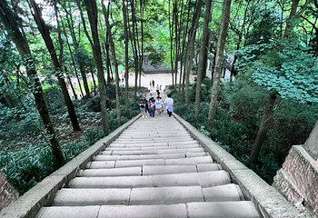 青城山第 281 张图片