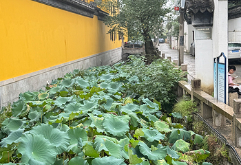 山塘街第 218 张图片