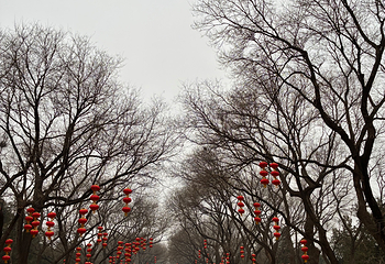 天坛公园第 210 张图片