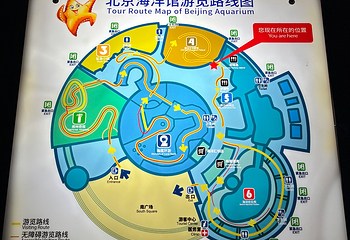 北京动物园第 97 张图片
