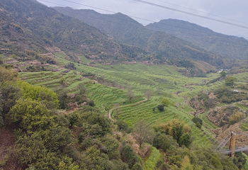 婺源篁岭景区第 316 张图片