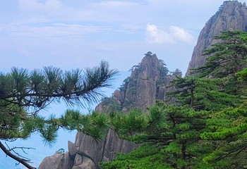 黄山风景区第 259 张图片