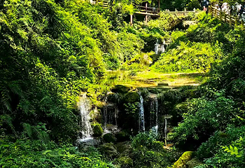 青城山第 281 张图片