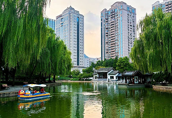 团结湖公园第 79 张图片