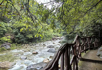石台牯牛降景区第 93 张图片