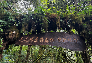 高黎贡山第 16 张图片