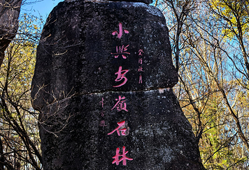 汤旺河林海奇石景区第 48 张图片