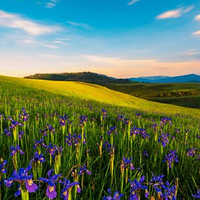 丽江格拉丹景区