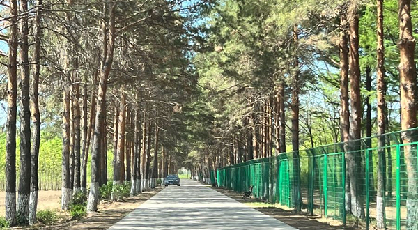 富裕县森林植物园