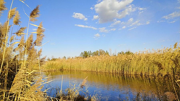 白海子湿地公园