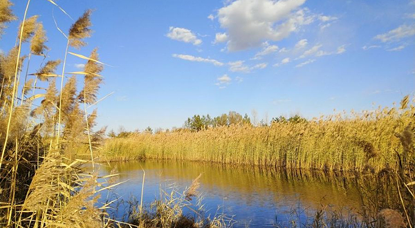 白海子湿地公园