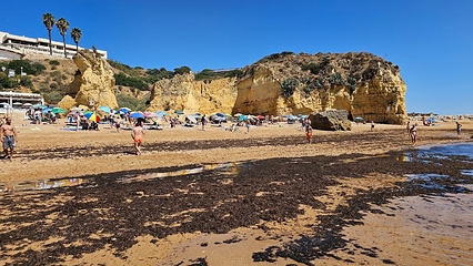 Praia de Dona Ana第 6 张图片