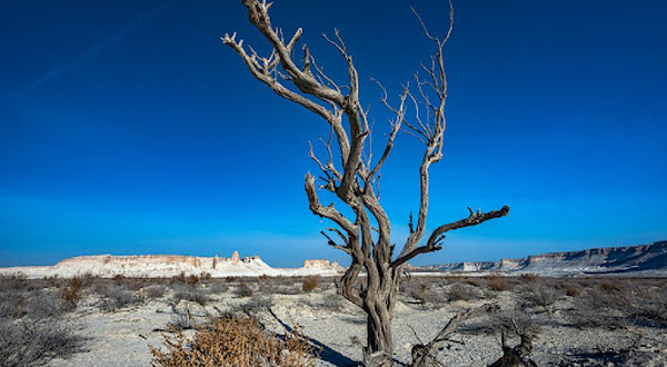 Bozzhyra View Point 1