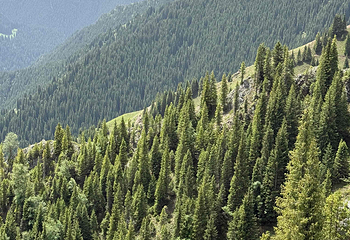 喀拉峻景区第 203 张图片