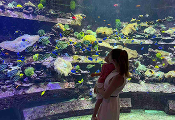 三亚亚特兰蒂斯失落的空间水族馆第 180 张图片