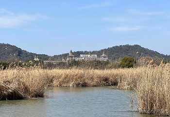 下渚湖·湿地公园第 37 张图片