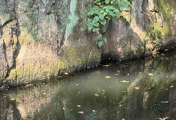 虎丘山风景名胜区第 231 张图片