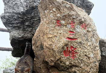 庐山风景名胜区第 303 张图片